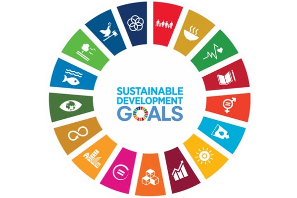 Sustainable Goal